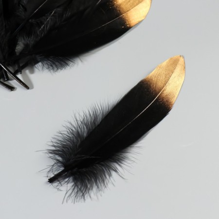 A set of goose feathers 15-20 cm, 10 pcs, black with a golden tip-2