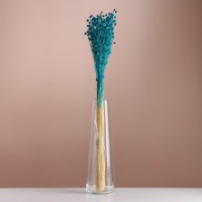 A set of dried flowers 
