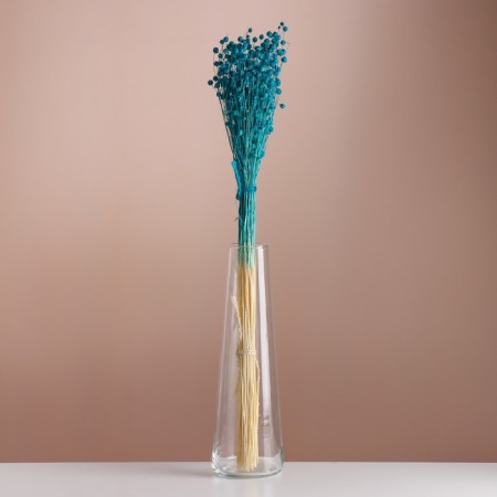 A set of dried flowers "Lenon-long", banch length 55-60 (+/- 6 cm), turquoise