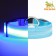 Collar with backlight, charging from USB, size S, Osh 34-41 cm, 3 modes, blue