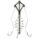 Carp tackle "Neptune", mix