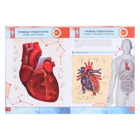4D encyclopedia in augmented reality "human anatomy", a soft cover-5