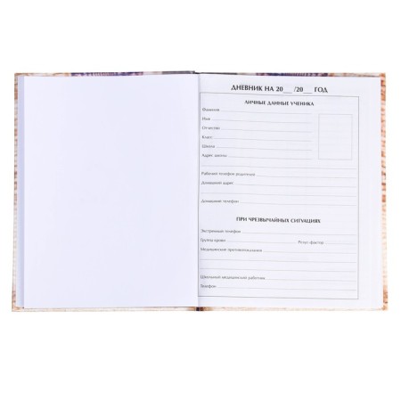 Diary for grades 1-4, "kitten", solid cover 7BC, glossy lamination, 48 sheets-3