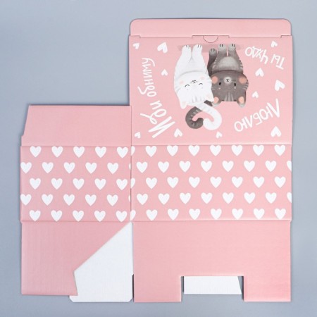 Box Gift team, packaging, “go hug”, 22 x 15 x 10 cm-7