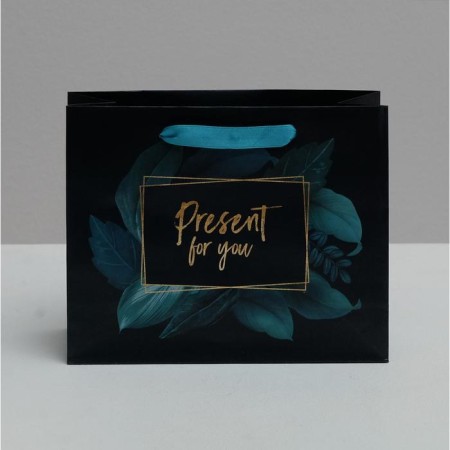 Gift Laminated Horizontal Package, Packaging, Present for You, 22 x 17.5 x 8 cm-2
