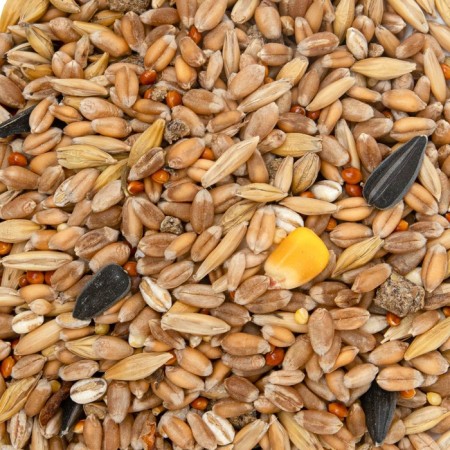 Fodge mixture "Eshka" for hamsters, with fruits, 450 g-2