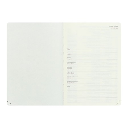 Leduced Diary A5, 160 sheets, Devente.galaxy, firm cover of artificial leather with foam rubber, lies, block 70 g/m2, raspberry-2