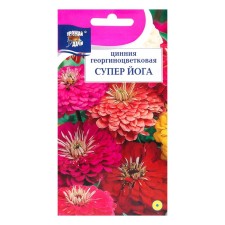 Cinnia flowers mixture 