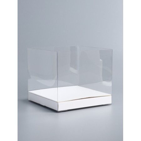 Box under the bento-port with ribbons, holography, 21 x 21 x 18 cm-4