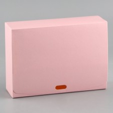 Gift folding box, packaging, “pink”, 16.5 x 12.5 x 5 cm, without tape