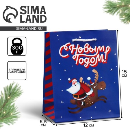 Laminated vertical package “I hurry to you”, S 12 x 15 x 5.5 cm, New Year