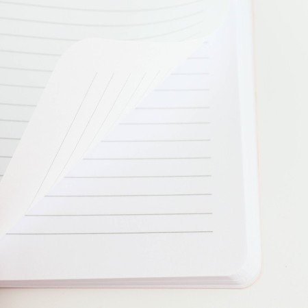 Diary A5+, 100 l. Soft region. SOFT-Tach "Divorces"-4
