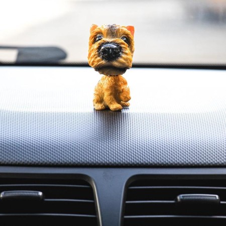 Dog on a car panel shocking his head, Irish Terrier-1