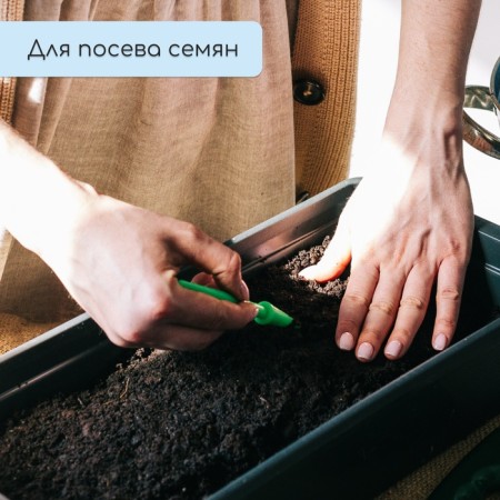 Box for seedlings, 36 × 14 × 9 cm, 3 l, black, "crop-7"-5