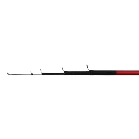The rod s/k "Volgar Dream", test 1-40 g, length 4 m-4