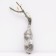 Seedling rose Plesy "Yutersen Klosterrose", tube, 1 pc, spring 2025