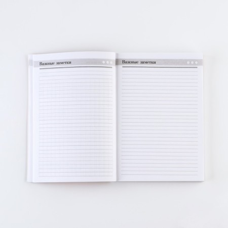 Diary "Golden Teacher", A5 format, 160 sheets, soft cover-11