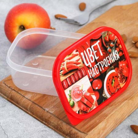 Lunch-Box "Color of mood Red", 0.5 l-1