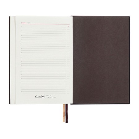 Dated 2025 diary, A5, 176 sheets of Escalada, solid cover of artificial leather, 3D design, foil, liescam embossing, cream block 70 g/m2, brown-14
