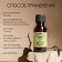 Essential oil, set of 12 pcs 20 ml, craft "Dobroparov"