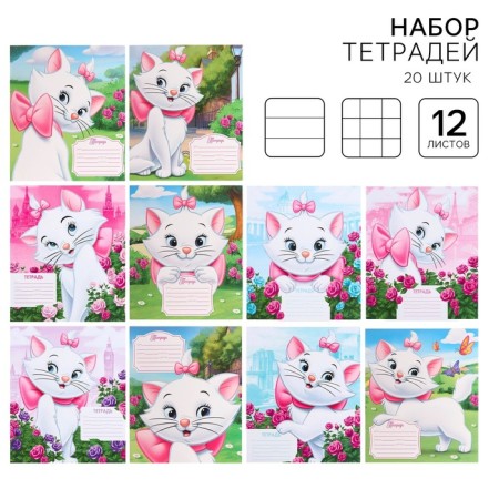 A set of notebooks is 20 pieces, 12 sheets, 10 in a cage and 10 in a ruler, a covered cardboard, cats aristocrats