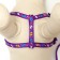 Set "Color Transes", leash 120 x 1 cm, fire 23-35 cm, purple