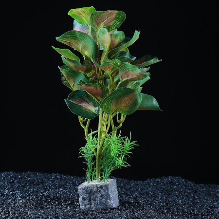 Aquarium plant "In a pot", 31 x 23 x 19 cm-2