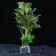 Aquarium plant "In a pot", 31 x 23 x 19 cm