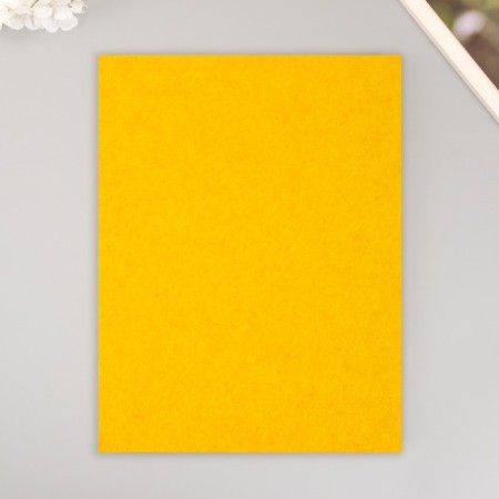 A set of hard felt "Astra" (3 pcs) light-gorgeous, 3 mm, 20x30 cm