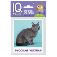 A set of cards for children of the 