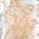 Buttons for creativity plastic "Transparent with gold" set of 3 types x 20 pcs 20x10 cm