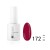 No. 172 Burgundy grapes