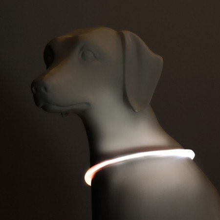 Collar - backlighting ring, charging from USB, up to 70 cm, 3 glow modes, multi -c.-1