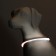 Collar - backlighting ring, charging from USB, up to 70 cm, 3 glow modes, multi -c.