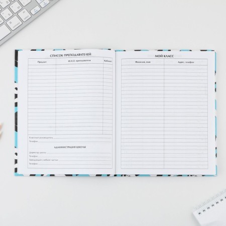 School Diary 5-11 Grade "September 1: Panda", solid cover 7BC, glossy lamination, 48 sheets-3