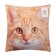 Decorative pillow "Ryzhik"