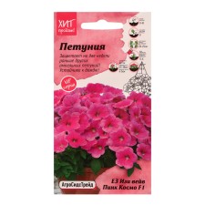 Flowers of Petunia 
