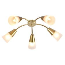 Ceiling lamp Aquilegia E14x40W