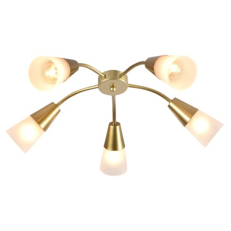 Ceiling lamp Aquilegia E14x40W