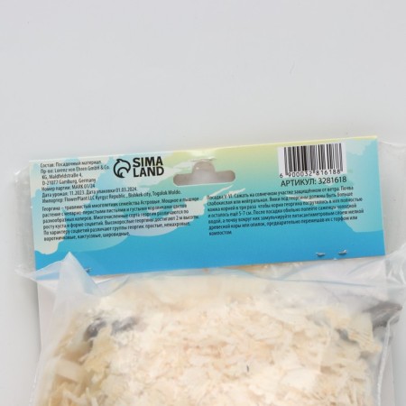 Georgina decorative "Hatwief", rr I, 1 pc, spring 2024-2