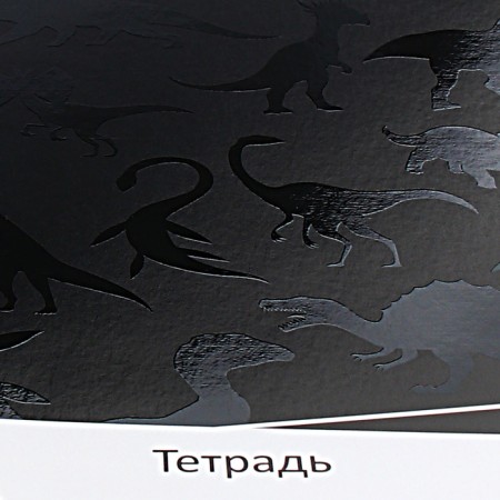 Notebook of 12 sheets in the Erichkrause "Black Pattern", UV-LK, Cover Cover Cardboard, Offset Bloc, Mix-2