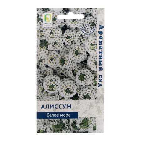 Alissum flowers "White Sea", 0.3 g