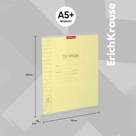 Notebook 12 sheets in the slanting ruler, Erichkrause Visio "Classic", cover coated cardboard, offset block, yellow-2