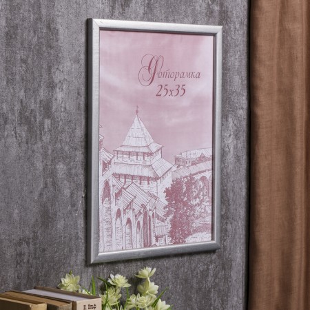 Фоторамка сосна с19 серебро 25х35 см (пластиковый экран)-1