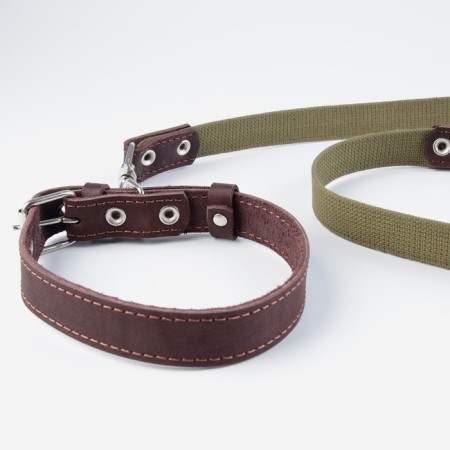 Set: collar (45-60x2.5 cm) leather and leash (150x2.5 cm) canvas, brown color-5