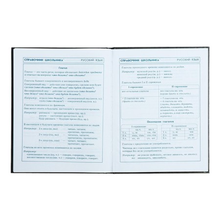 School diary for grade 1-4, 48 sheets "Racing", hard cover, glossy lamination, universal cheat sheet, block 65 g/m2-12
