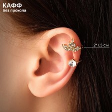 Earr 