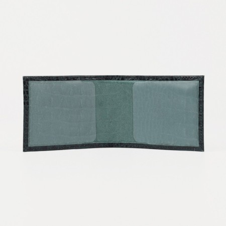 Cover for a student ticket, green color-2