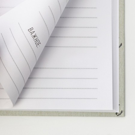 Diary in a solid cover A5, 80 liters "Success"-2