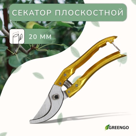 Planning coater, 8 "(20 cm), with metal handles, with a spare spring, Greengo